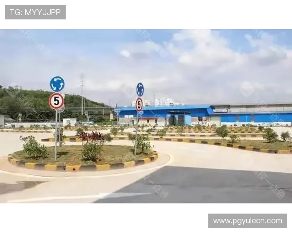 PG国际008下载正式版最新版本全面介绍，确保玩家畅享无忧游戏体验
