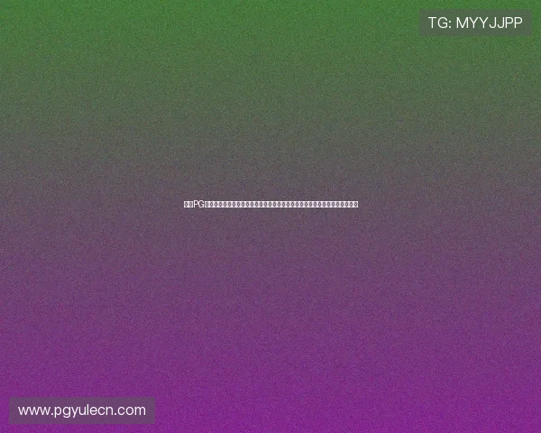 利用PG模拟器丸子导航优化游戏运行环境，确保模拟器稳定性与游戏体验的全面提升